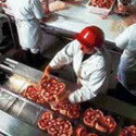 Yüksek Riskli Alan Hijyeni